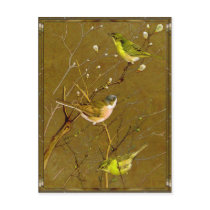 Dawn of Spring Postcard by touchministry Dawn of Spring Postcard