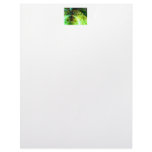 Dawn of Time – Lime &amp; Gold Emerge Letterhead Design