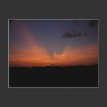 Dawn Postcard