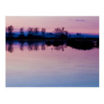 Dawn Postcards