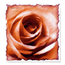 Dawn Rose posters