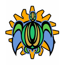 Dawn Turtle Kids' Dark Tees