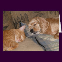 Dax and Chance Share cards