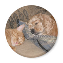 Dax and Chance Share Magnet