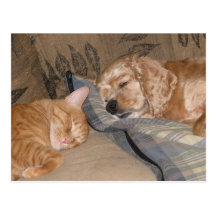 Dax and Chance Share Post Cards