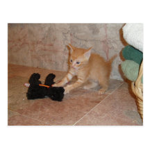 Dax Attack Kitten Postcard