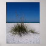 Day at the Beach Posters