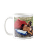 Day at the Park Mugs