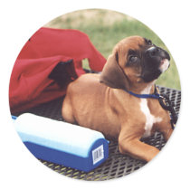 Day at the Park stickers