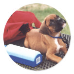 Day at the Park Stickers