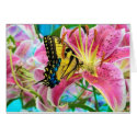 Day Dream ,  Forever Summer (CARD)