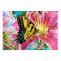 Day Dream , profile card business cards by GinaSignore Day Dream , profile card business cards