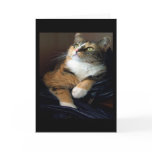 Day Dreamer Greeting Card