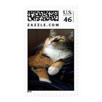 Day Dreamer Stamp