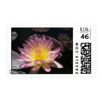 Day Glow stamps