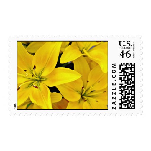 Day lilies  flowers postage stamp