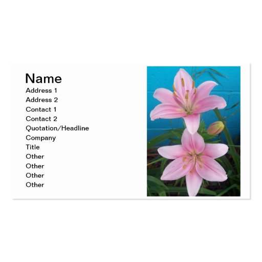 Day Lilly Business Card