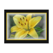 Day Lilly postcards by sharpcreations Day Lilly postcards
