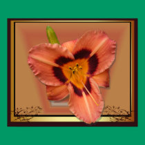 Day Lily 19 ~ print