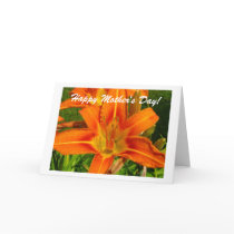 Day Lily Card