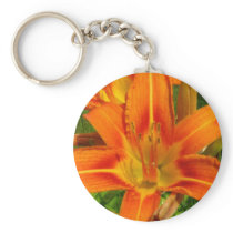 Day Lily