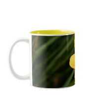 Day Lily Mug mugs