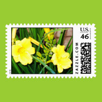 Day lily postage stamps