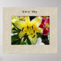 Day Lily posters