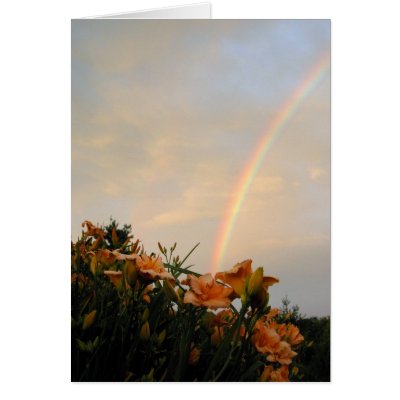 Day Lily Rainbow Cards by KiraDott