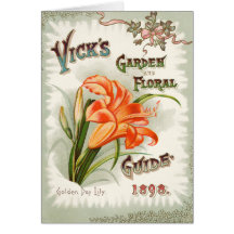 Day Lily Seed Packet Vintage Card