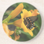 Day Lily with Butterfly coaster