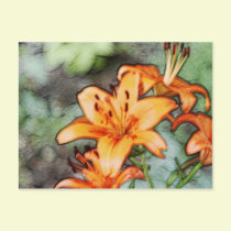 Day Lily's postcards