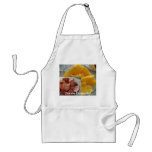 Day of Bean and sausage stew! Aprons
