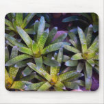Day of the Triffids Mousepad