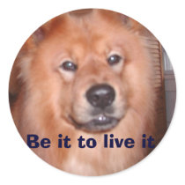 Day w Negrito 014, Be it to live it stickers by sheeba Day w Negrito 014, Be it to live it stickers