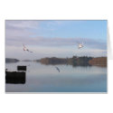 DAYBREAK, DONEGAL BAY cards