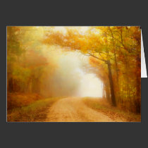 Daybreak Lane cards
