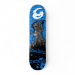 Daydream Stalker..... Skateboard