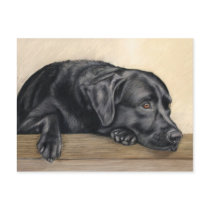 Daydreamer postcards by thepastelartist Daydreamer postcards