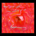 Daydreaming Haiku Art Print by Reflekshins Daydreaming Haiku Art Print