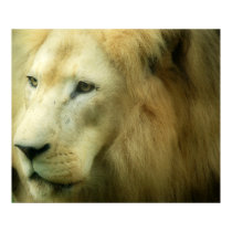 Daydreaming Of Africa posters by beverlytazangel Daydreaming Of Africa posters