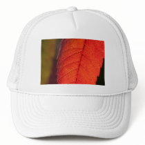 daydreams linger hats by blacqbook daydreams linger hats