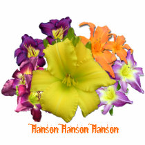 Daylilies by Curt Hanson t-shirts