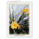 Daylilies cards
