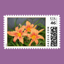 DAYLILIES ON BLUE postage by dequilla DAYLILIES ON BLUE postage