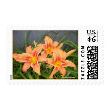 DAYLILIES ON BLUE POSTAGE STAMP
