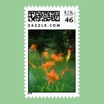 Daylilies: Orange -stamp