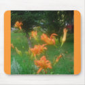 daylillies mousepads by minx267 daylillies mousepads