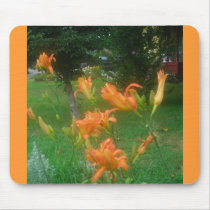 daylillies mousepads by minx267 daylillies mousepads