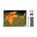 daylillies postage by stevebirm daylillies postage